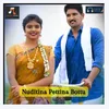 About Nuditina Pettina Bottu Song